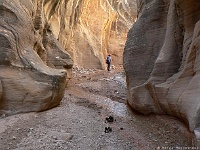 Willis Creek