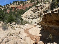 Willis Creek