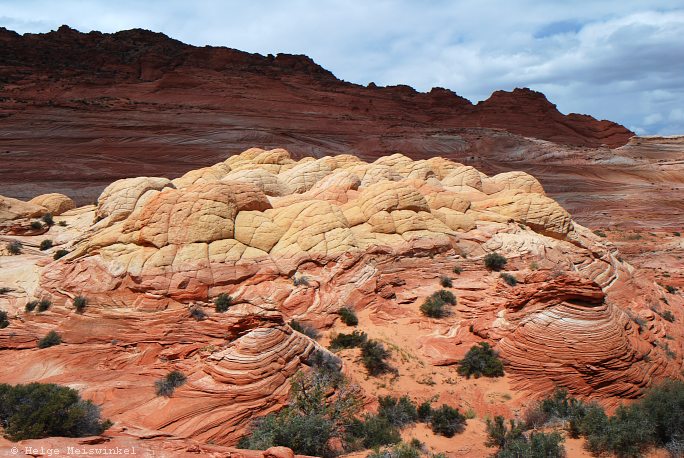 134
