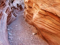 Little Wild Horse Canyon