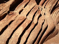 Little Wild Horse Canyon