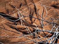 Dance Hall Rock