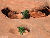 Dance Hall Rock