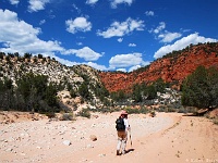 Lower Red Cave Wash
