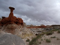 Toadstool Hoodoo