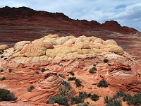 Coyote Buttes North - Brainrocks