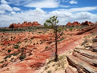 North & South Teepees