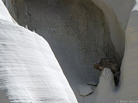 Wahweap Hoodoos