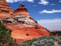 North Teepees