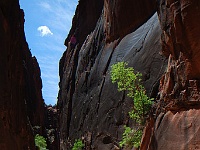 Buckskin Gulch