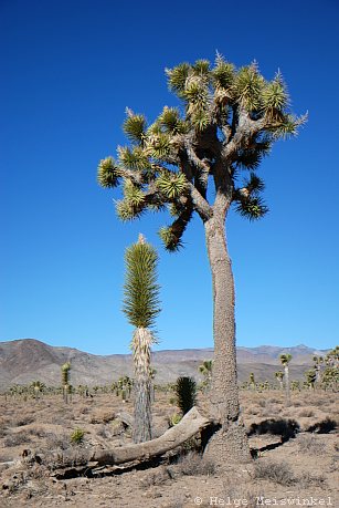 056