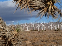 Tehachapi Windpark