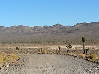 Lee Flat