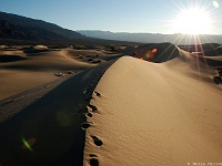 Mesquite Sand Dunes