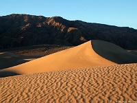 Mesquite Sand Dunes