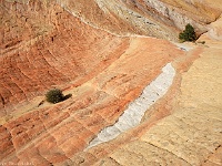 Yellow Rock