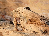 Yellow Rock