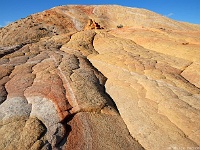 Yellow Rock