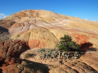 Yellow Rock