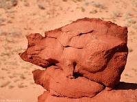 Coyote Buttes South