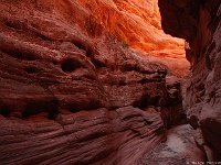 Red Canyon