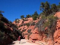 Red Canyon