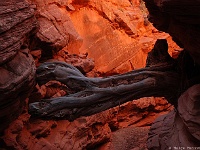 Red Canyon