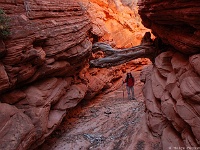 Red Canyon