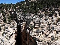 Bull Valley Gorge