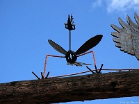 schräger Vogel