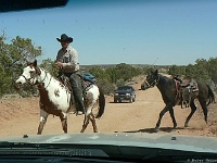 echte Cowboys auf der HITRR