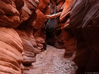 Upper Chute Canyon