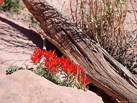 North East Spur Fork