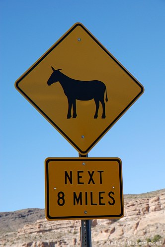 203