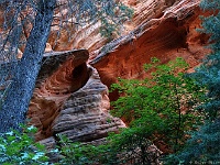 Zion NP - Hidden Canyon