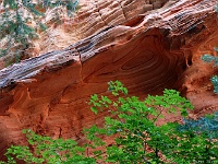 Zion NP - Hidden Canyon