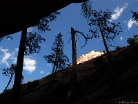 Zion NP - Hidden Canyon