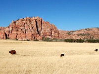 Zion NP - Kolob Reservoir