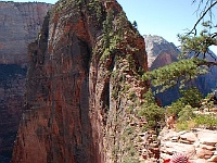 Angels Landing - Ob wir da hochkommen?