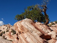 Yellow Rock Valley