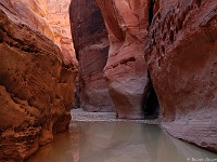 Pariah Canyon