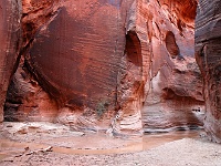 Pariah Canyon & Buckskin Gulch Confluence