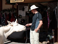 Oatman, Arizona