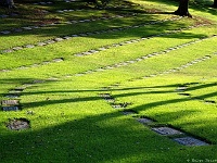 Forest Lawn Memorial Park