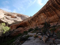 Monarch Cave Ruin