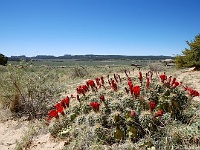 San Rafael Swell