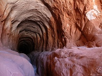 Darm oder doch nur ein Tunnel?