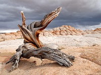 Paria Plateau