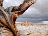 Paria Plateau
