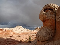 Paria Plateau - White Pocket